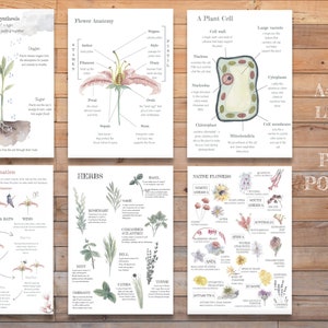 DIGITAL Plants and Flowers Posters