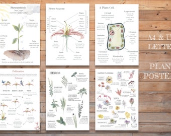 DIGITAL Plants and Flowers Posters