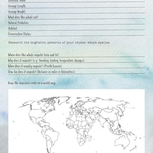 DIGITAL UPDATED Oceanography Lesson Plan | 4-Week Homeschool Unit Study | Oceans Science Curriculum PDF image 9