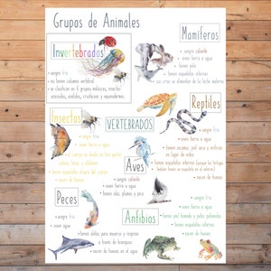 Grupos de animales españoles DIGITAL Póster