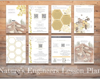 May include: A lesson plan for teaching about nature's engineers, focusing on ants and bees. The plan includes activities, information about the insects, and a QR code for additional resources. The pages are illustrated with watercolor drawings of ants and bees in their natural habitats.