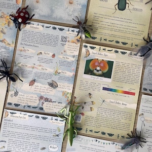 May include: Educational insect-themed cards and toy insects are arranged on a light-colored surface. The cards feature illustrations and text about insects, including their bodies, pollination, and behavior. Toy insects include a ladybug, a wasp, and a praying mantis.