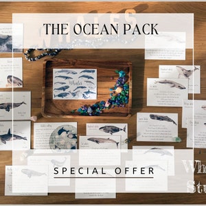 Pacchetto Oceano DIGITALE - Offerta Speciale