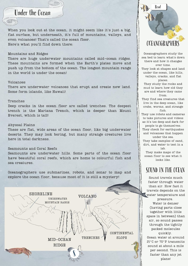 DIGITAL UPDATED Oceanography Lesson Plan | 4-Week Homeschool Unit Study | Oceans Science Curriculum PDF image 6