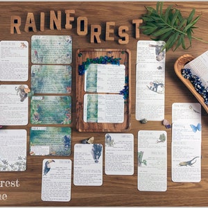 DIGITAL Rainforest Biome Pack Six-week lesson plan