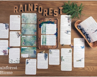 DIGITAL Rainforest Biome Pack Six lesson plans