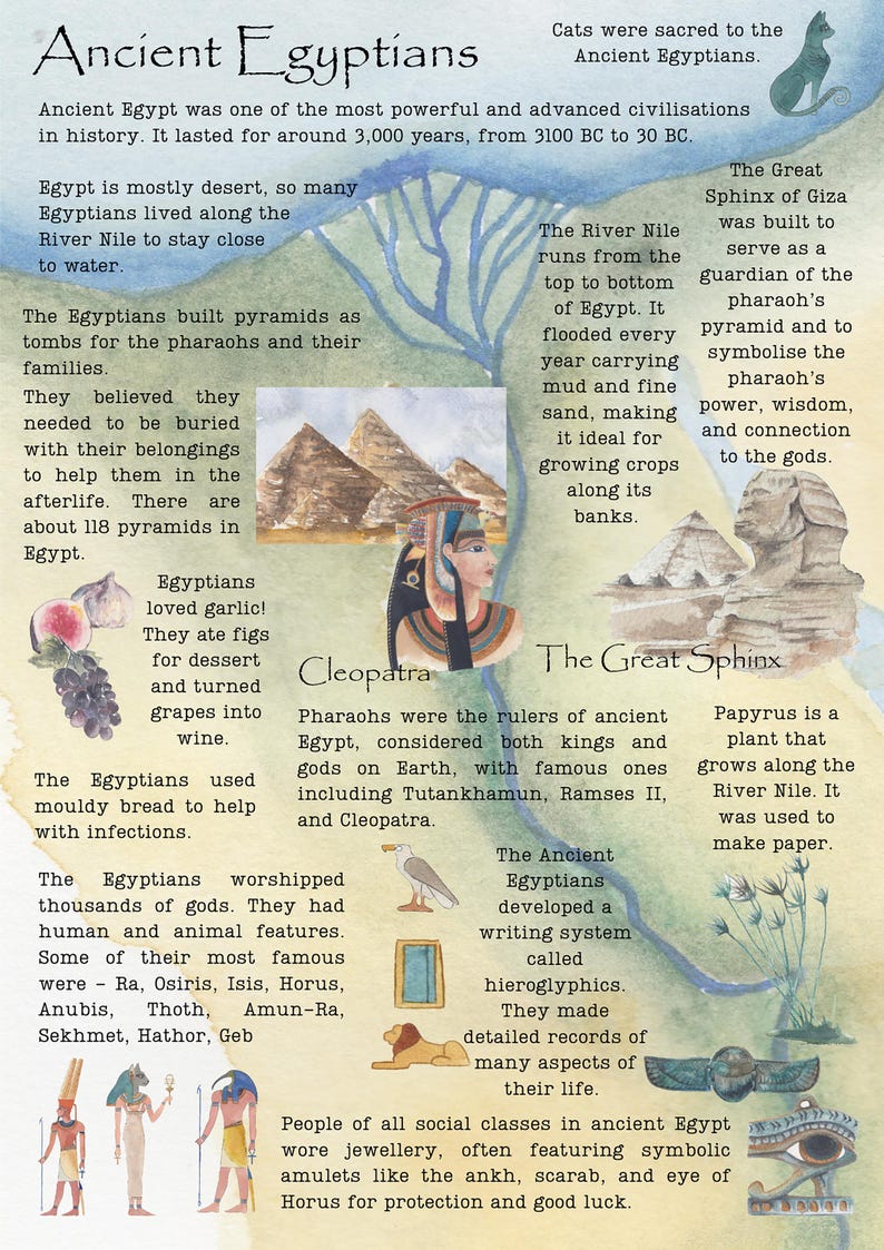 DIGITAL History Infographics | History Posters | Homeschool & Classroom Printable Visual Learning Resources image 8