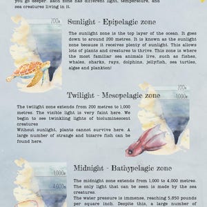 DIGITAL UPDATED Oceanography Lesson Plan | 4-Week Homeschool Unit Study | Oceans Science Curriculum PDF image 7