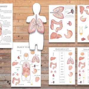 DIGITAL organs of the body poster
