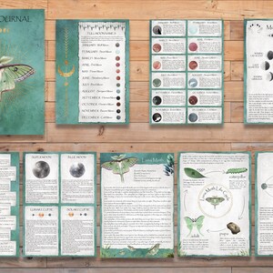 Pu&ograve; includere: Un set di grafici di fase lunare stampabili con uno schema di colori verde e oro. I grafici includono informazioni sui nomi delle lune piene, le eclissi lunari e il ciclo di vita di una falena luna.