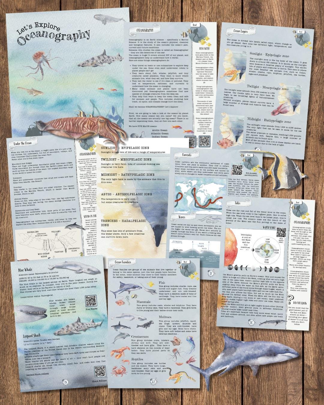 DIGITAL UPDATED Oceanography Lesson Plan | 4-week Homeschool Unit Study ...