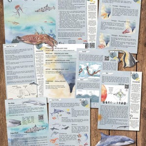 DIGITAL UPDATED Oceanography, four week lesson plan, homeschool, oceans