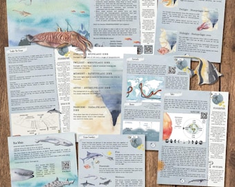DIGITAL UPDATED Oceanography, four week lesson plan, homeschool, oceans
