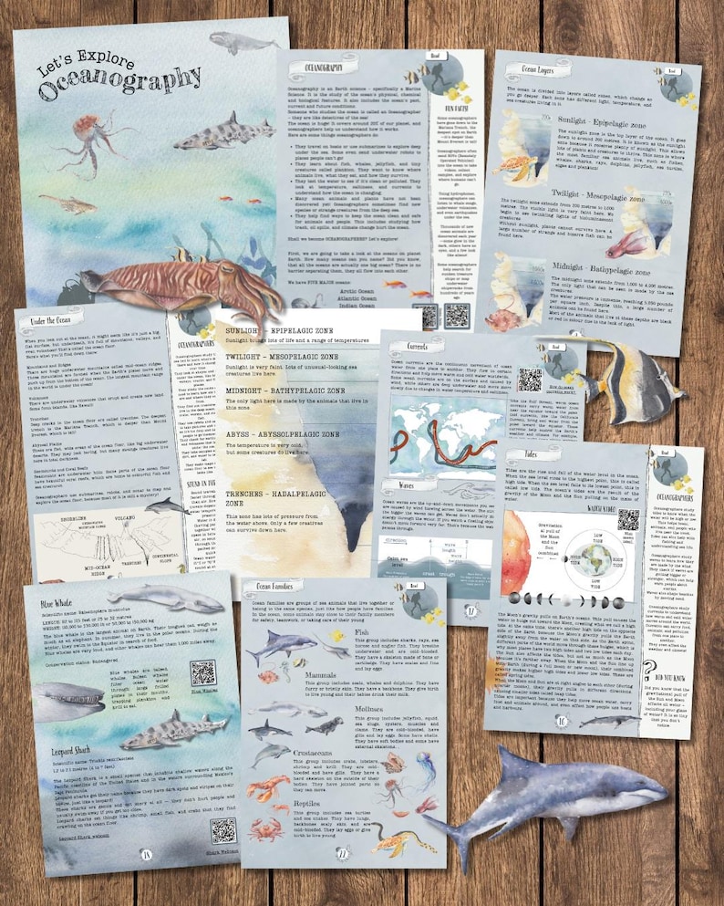 DIGITAL UPDATED Oceanography Lesson Plan | 4-Week Homeschool Unit Study | Oceans Science Curriculum PDF image 1