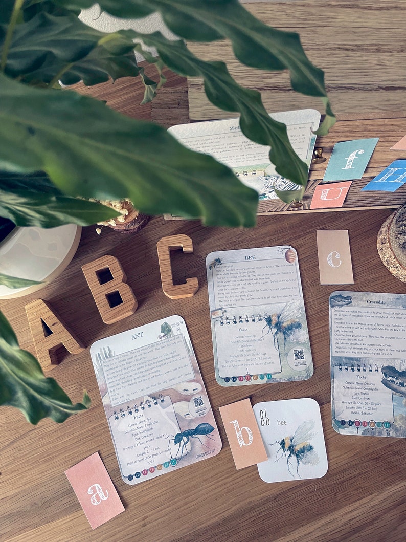 Animal Alphabet Learning Set | ABC Flash Cards | Digital Download ...