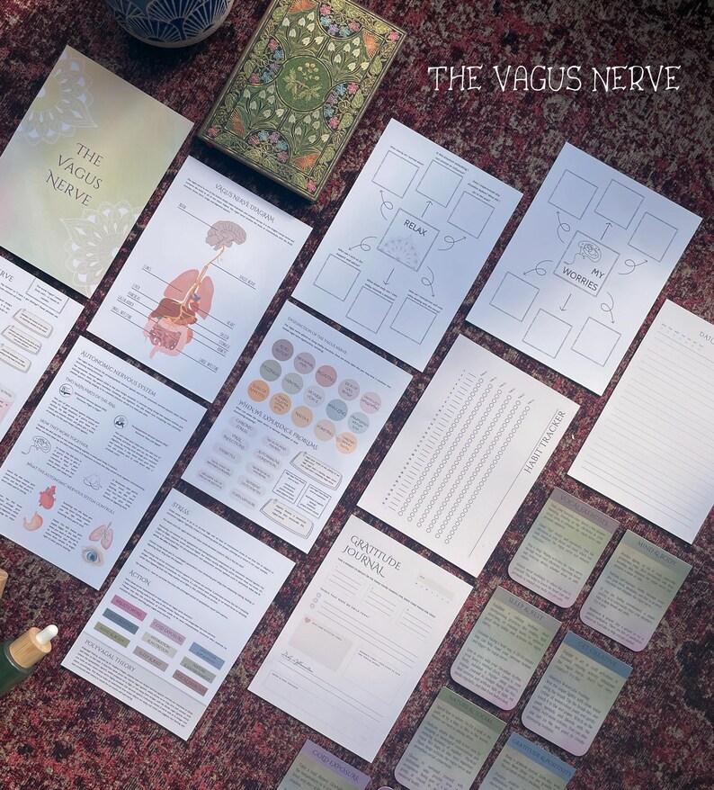 May include: A set of printable worksheets and journal pages focused on the vagus nerve. The worksheets include a diagram of the vagus nerve, a habit tracker, a gratitude journal, and a "My Worries" worksheet. The worksheets are printed on white paper with black ink.