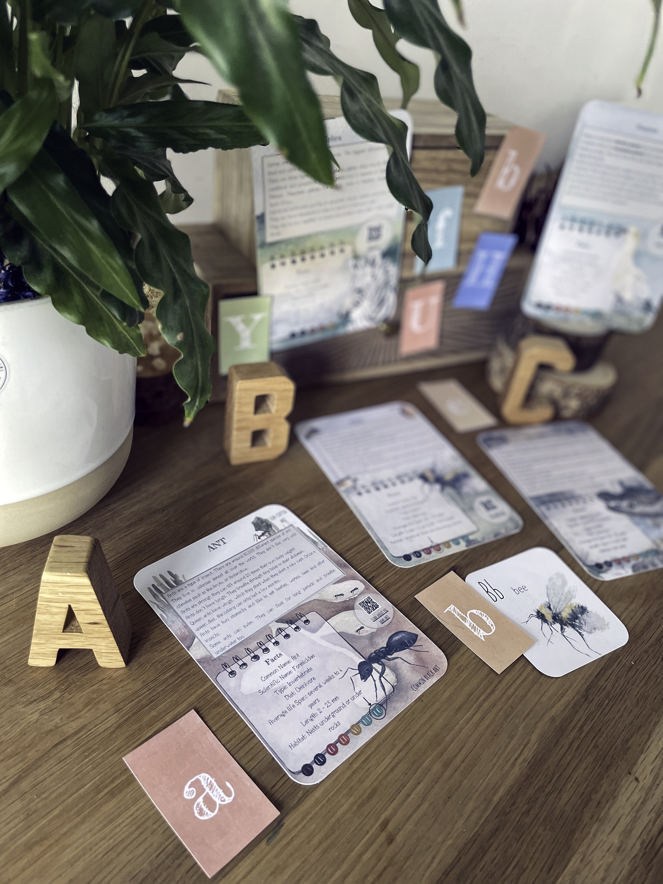 Animal Alphabet Learning Set | ABC Flash Cards | Digital Download ...
