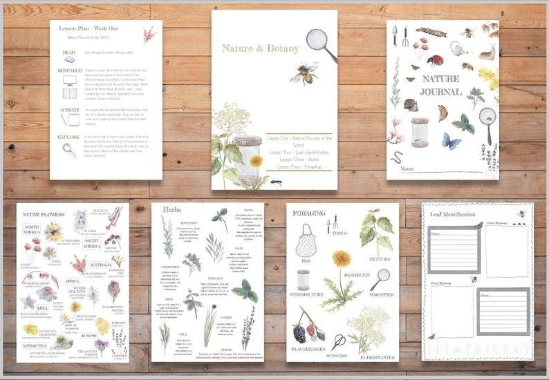 DIGITAL Science Botany 8 Week Lesson Plan Montessori Wall Etsy