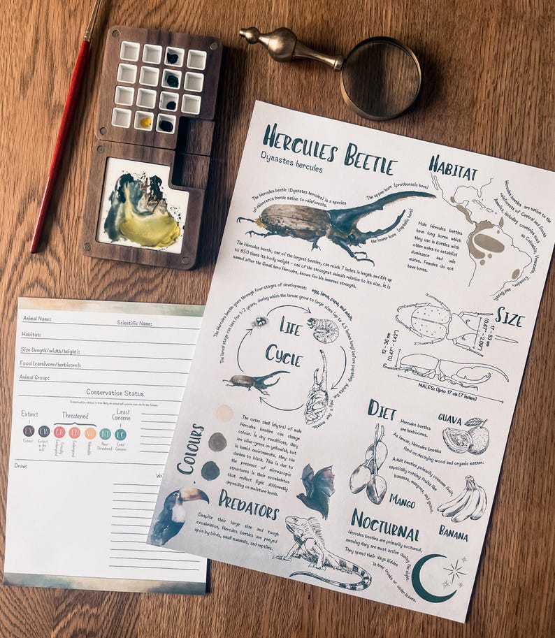 Digital Hercules Beetle Poster & Worksheet | Homeschool Science ...