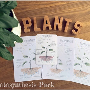 DIGITAL Photosynthesis worksheets