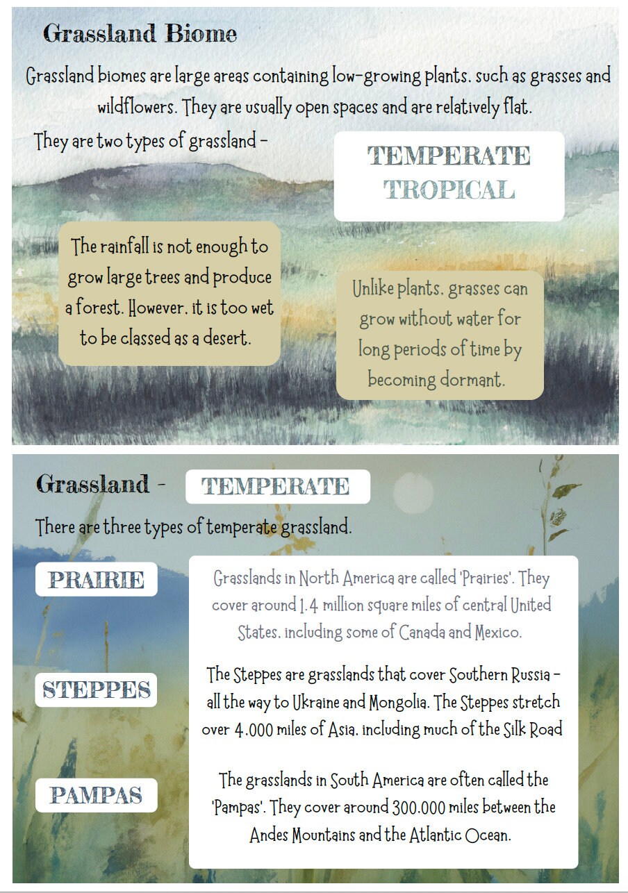 Biome Cards.pdf DIGITAL Watercolour Biomes Card Pack | Homeschool Geography & Science ...