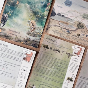 DIGITAL Forests lesson plan, homeschool
