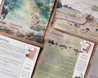 Digital Forests Lesson Plan | Explore Ecosystems & Nature | Homeschool Printable Resource