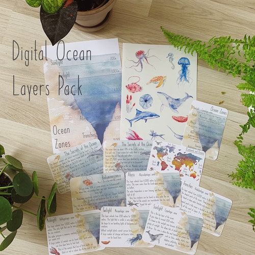 DIGITAL Coral Reef Educational Pack Coral Reef Worksheet Etsy UK