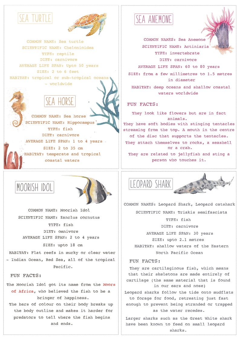 DIGITAL Coral Reef Educational Pack Coral Reef Worksheet Etsy UK