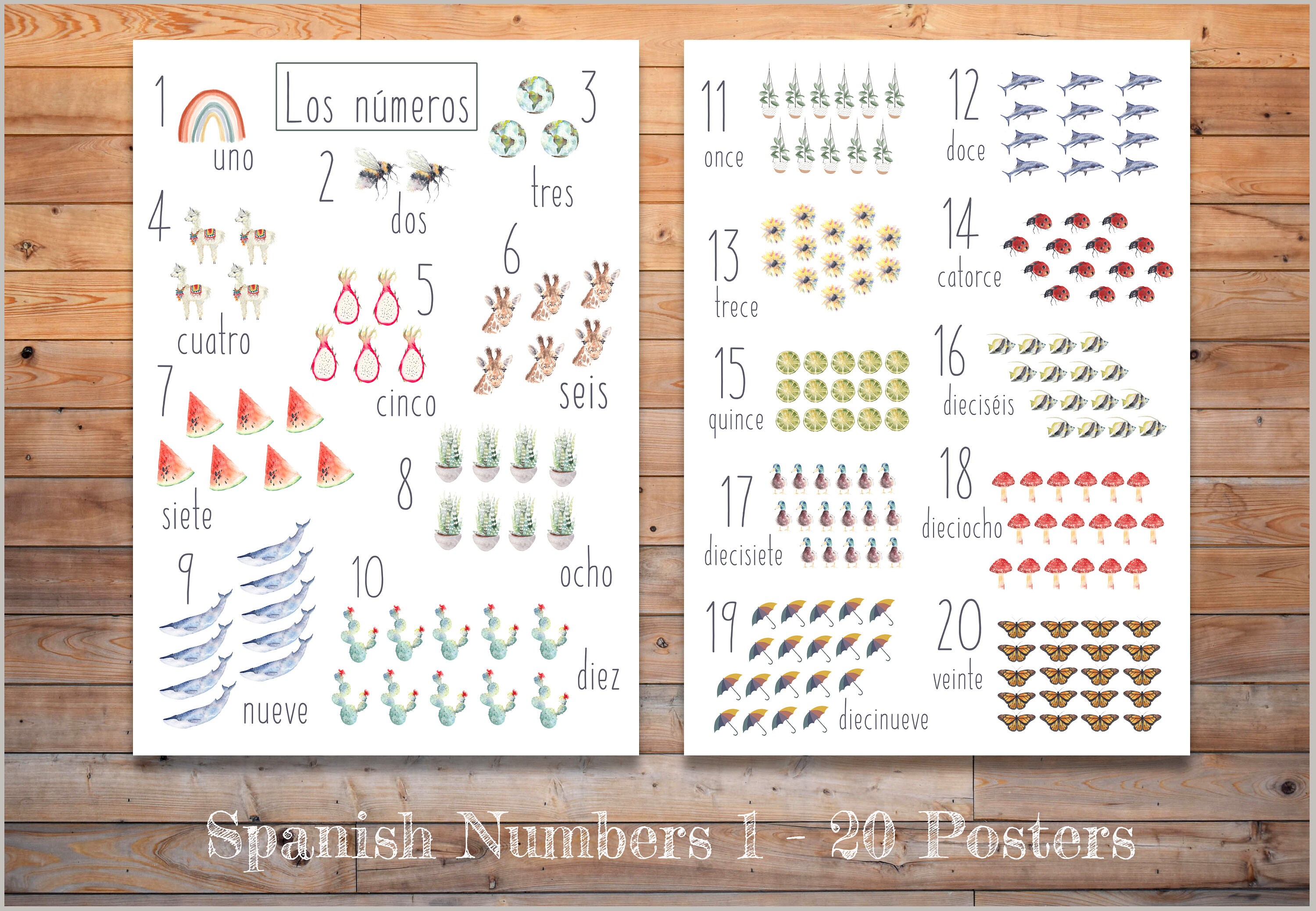 『日本語とスペイン語 』(1) (2) (3) セット DIGITAL スペイン語の数字 1 ～ 20、ロス ナンバー - Etsy 日本