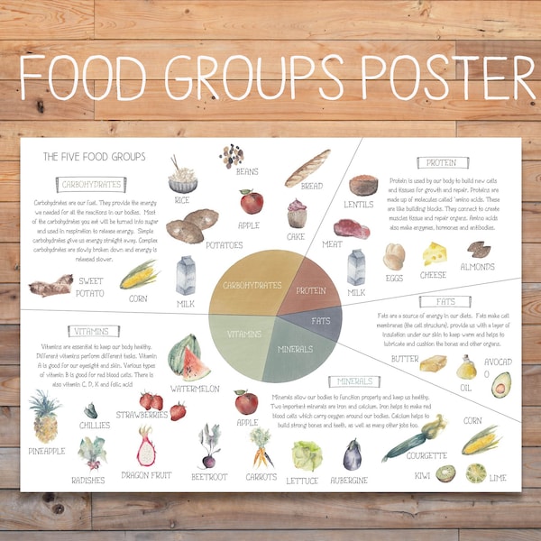 DIGITALES Food Groups Poster