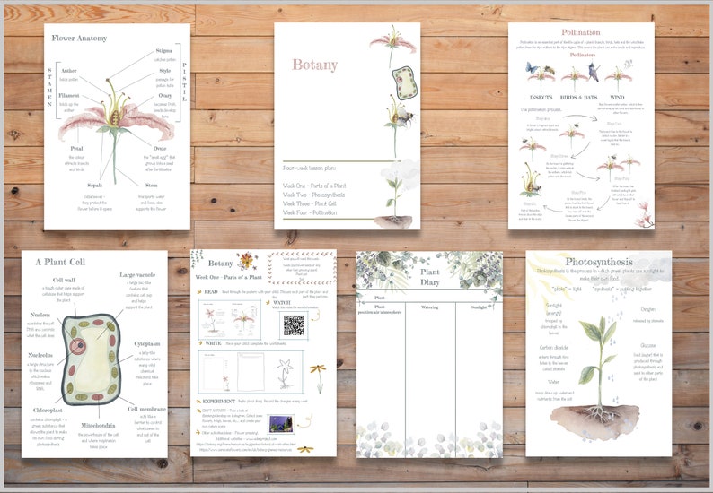 DIGITAL Science Botany 8 Week Lesson Plan Montessori Wall Etsy