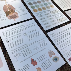 Peut inclure: Une feuille de travail imprimable avec des illustrations et du texte expliquant le système nerveux autonome, ses deux principales parties et leur fonctionnement. La feuille de travail comprend des informations sur le cœur, la respiration, les pupilles et la digestion.