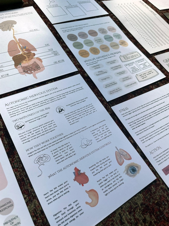 Vagus Nerve Guide | Natural Healing & Stress Relief (Digital Download)