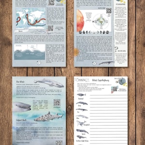 DIGITAL UPDATED Oceanography Lesson Plan | 4-Week Homeschool Unit Study | Oceans Science Curriculum PDF image 3