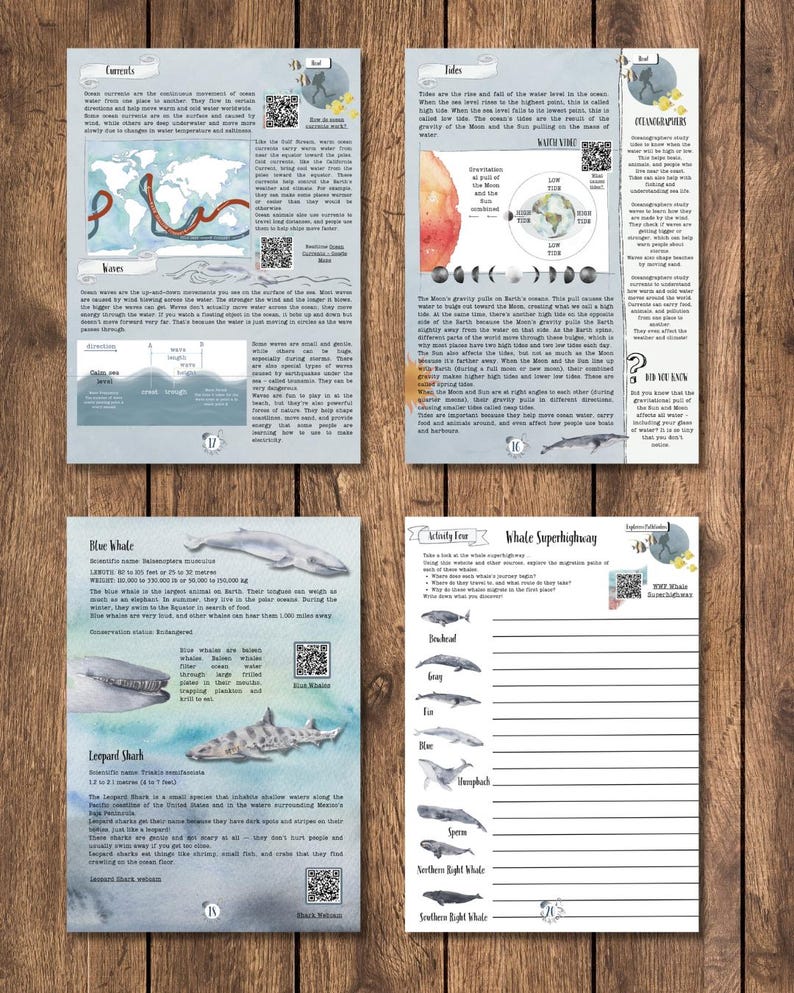 DIGITAL UPDATED Oceanography Lesson Plan | 4-Week Homeschool Unit Study | Oceans Science Curriculum PDF image 3