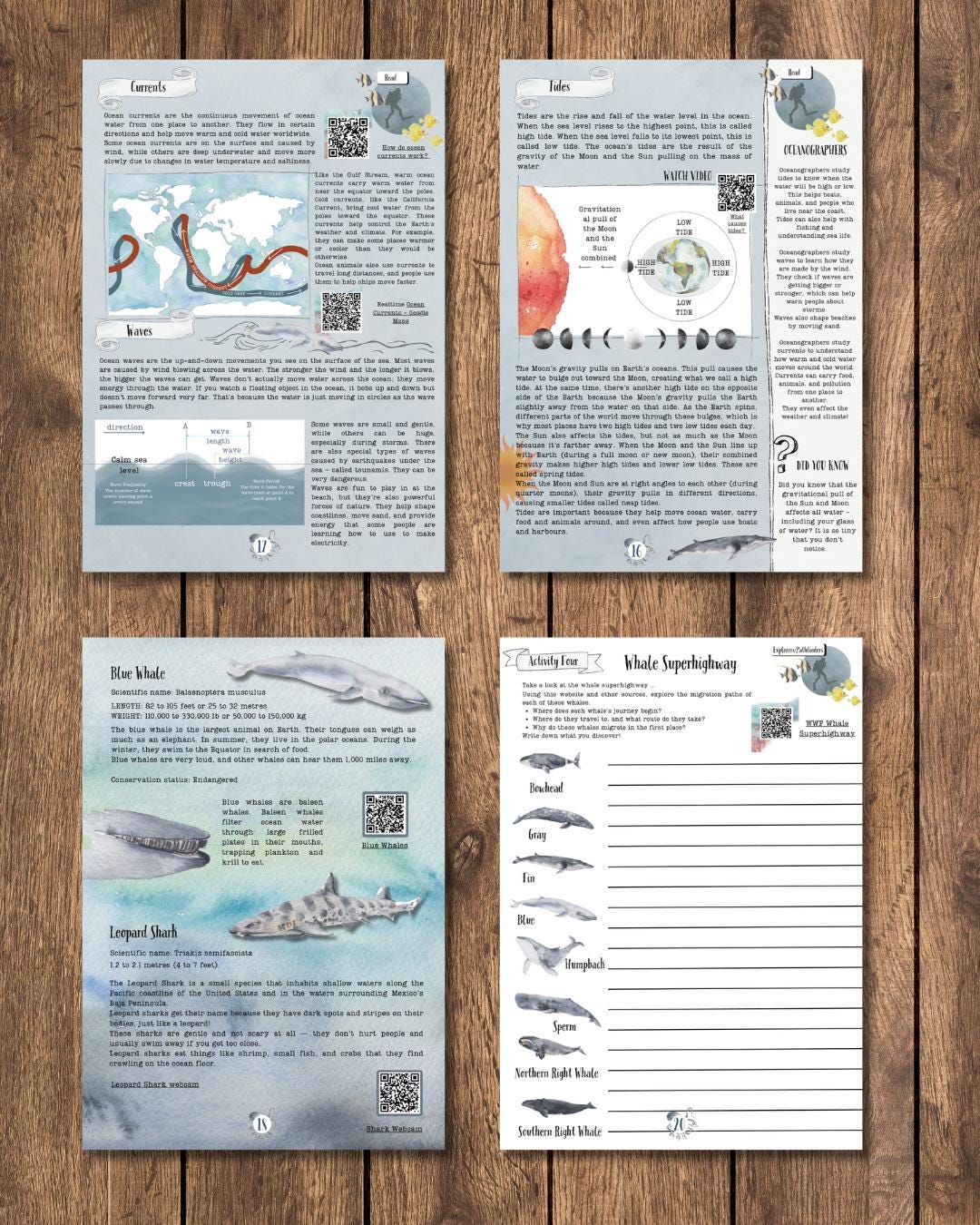 DIGITAL UPDATED Oceanography Lesson Plan | 4-week Homeschool Unit Study ...