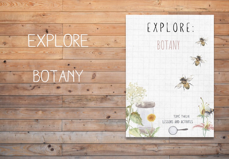 DIGITAL Science botany 8 week lesson plan, montessori wall art, homeschool image 1