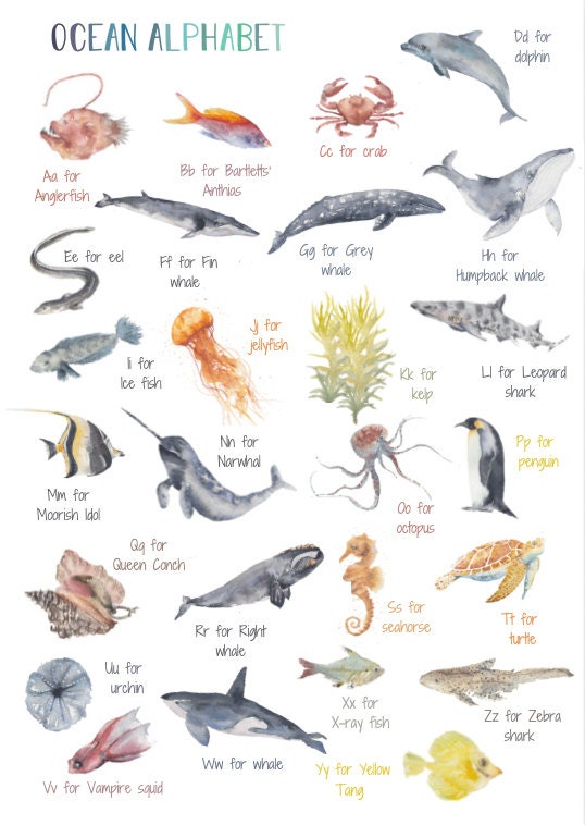 Printable Ocean Alphabet & Games Pack | Educational Activities for Kids ...