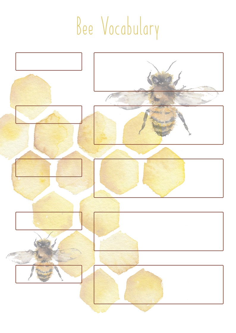 DIGITAL Educational honey bee study pack bee art nature | Etsy