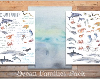 DIGITAL Ocean families pack ocean study