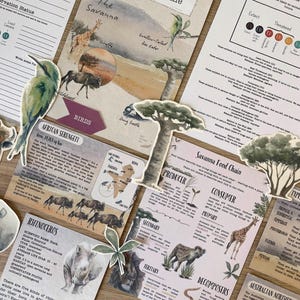 Puede incluir: Una colección de efímeras de papel educativas con temática de sabana. Incluye tarjetas ilustradas con texto sobre jirafas, rinocerontes y cadenas alimentarias. La paleta de colores presenta tonos terrosos con ilustraciones al estilo acuarela.