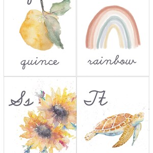 Może przedstawiać: Cztery akwarelowe ilustracje liter i sł&oacute;w. Pierwsza ilustracja to litera 'Q' z pigwą. Druga ilustracja to litera 'R' z tęczą. Trzecia ilustracja to litera 'S' z słonecznikiem. Czwarta ilustracja to litera 'T' z ż&oacute;łwiem.