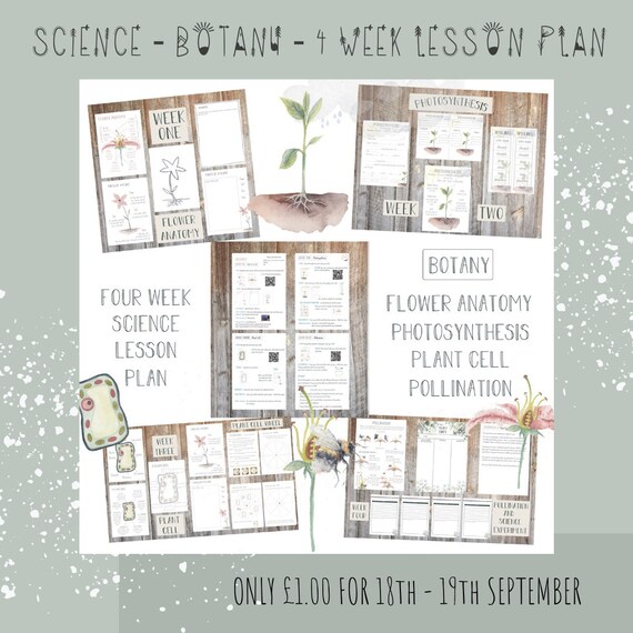 DIGITAL Science Botany Lesson Plan Four Week Lesson Plan Etsy
