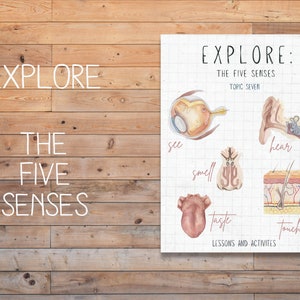 DIGITAL Explore The Five senses lesson plan