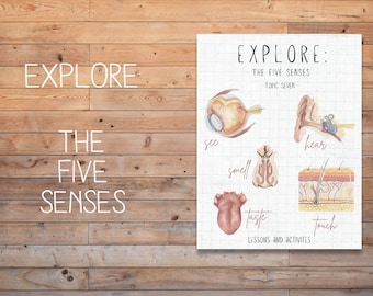 DIGITAL Explore The Five senses lesson plan