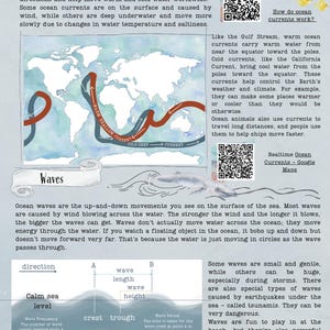 DIGITAL UPDATED Oceanography Lesson Plan | 4-Week Homeschool Unit Study | Oceans Science Curriculum PDF image 8