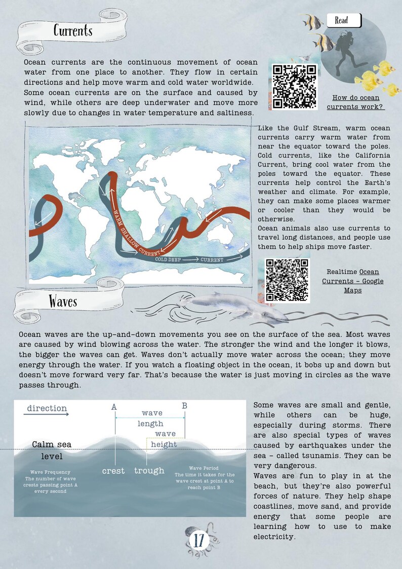 DIGITAL UPDATED Oceanography Lesson Plan | 4-Week Homeschool Unit Study | Oceans Science Curriculum PDF image 8
