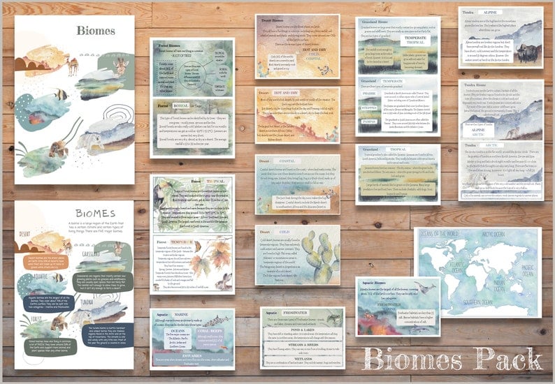 DIGITAL NEW Biomes cards, nature study, geography cards, montessori, back to school, Printable PDF 