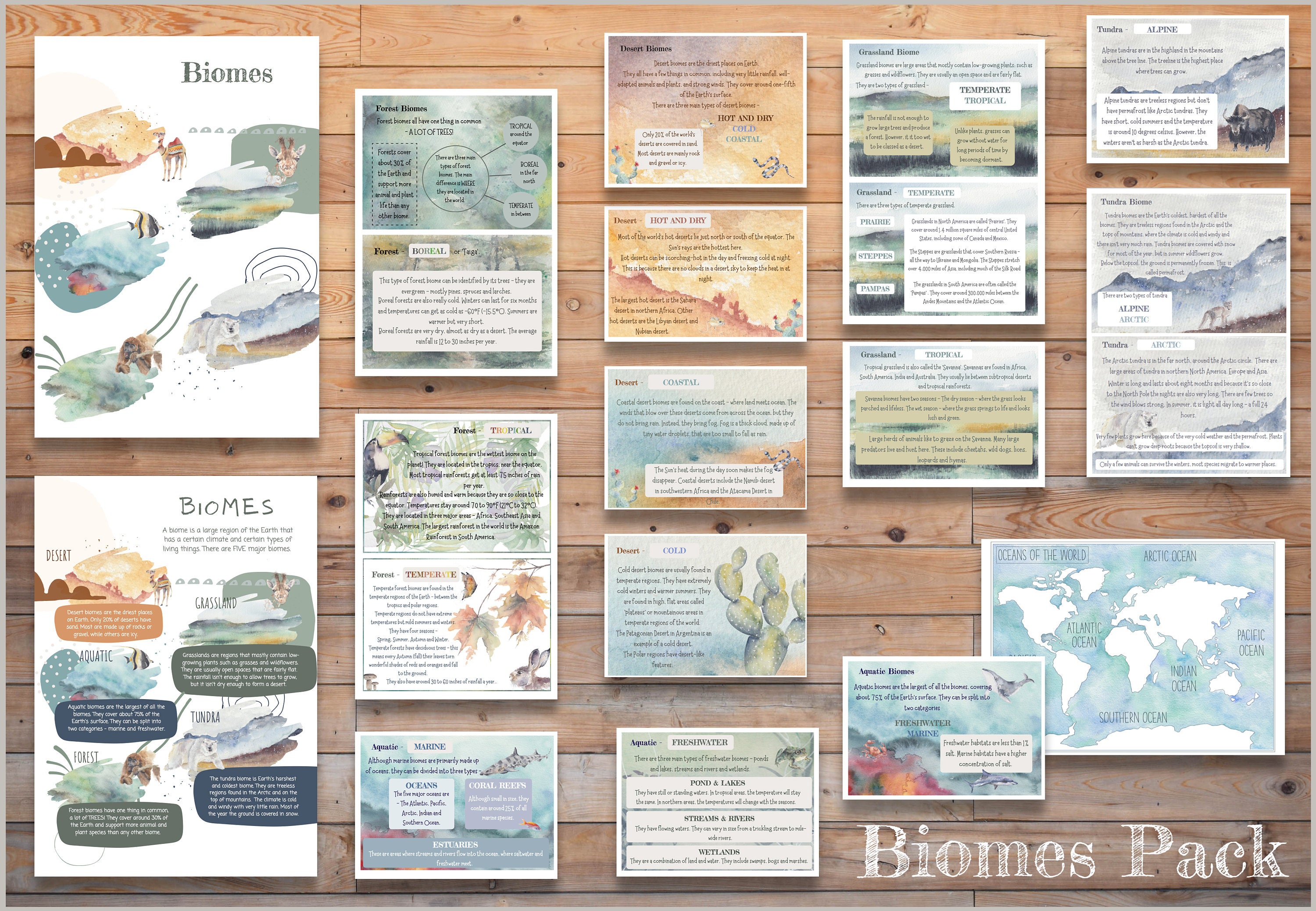 DIGITAL NEW Biomes Cards Nature Study Geography Cards - Etsy